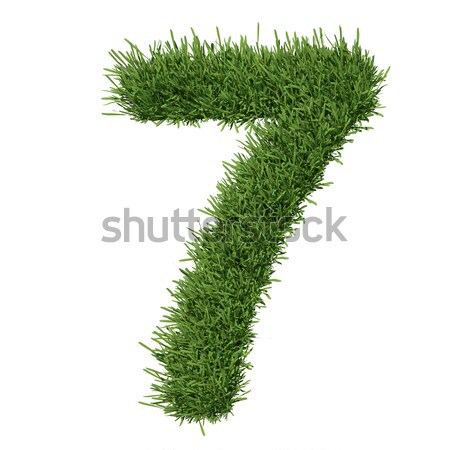 Arabisch cijfer gras geïsoleerd geven witte Stockfoto © cherezoff