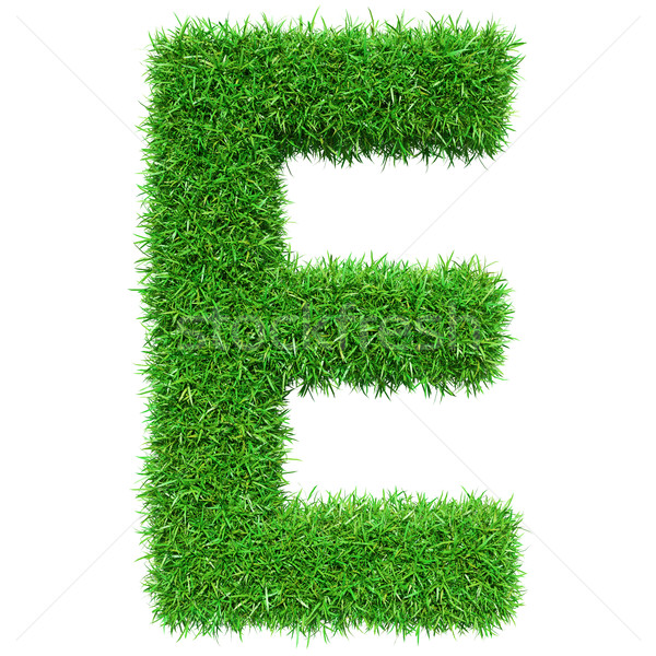 Green Grass Letter E Stock photo © cherezoff