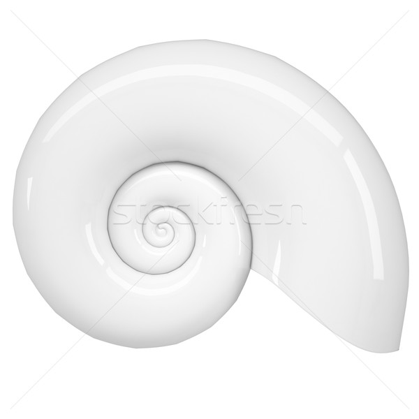 White spiral shell Stock photo © cherezoff