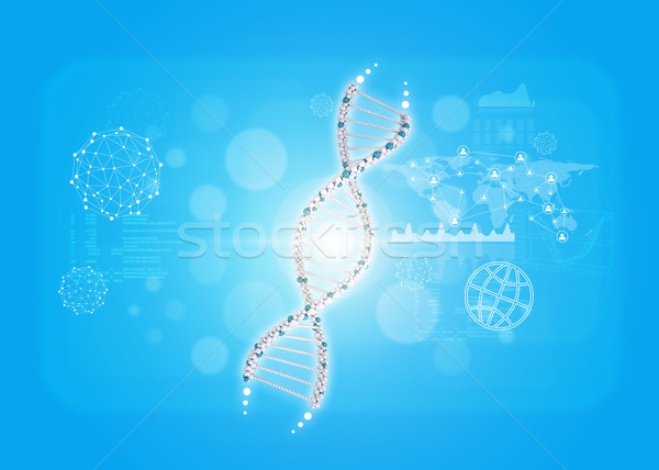 Human DNA. Background with world map, graph and wire-frame Stock photo © cherezoff