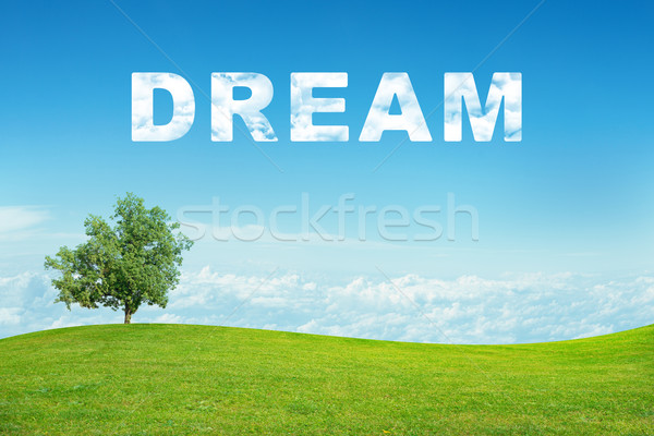 Landscape with dream word Stock photo © cherezoff