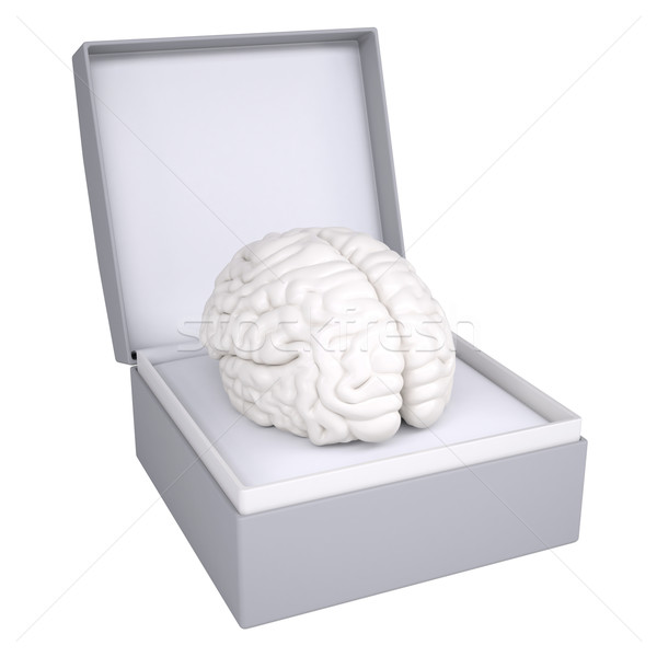 Brain in open gift box Stock photo © cherezoff