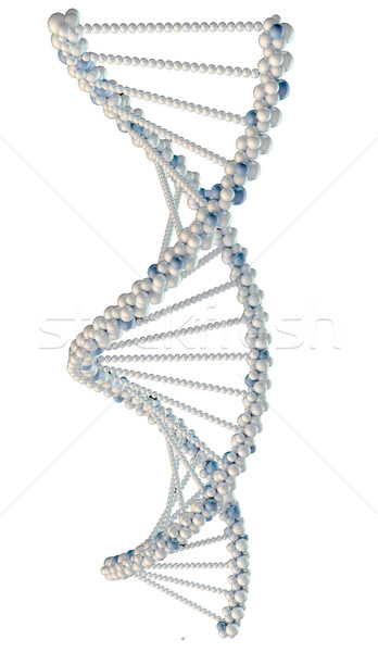 Illustration of white DNA chain Stock photo © cherezoff