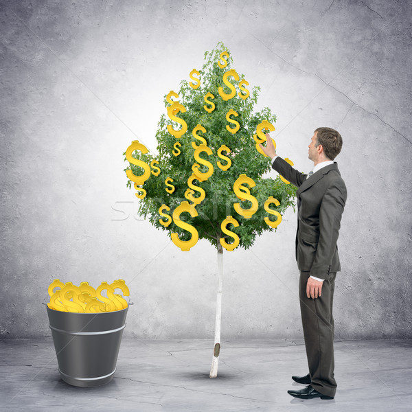 Businessman collecting dollar signs from tree Stock photo © cherezoff