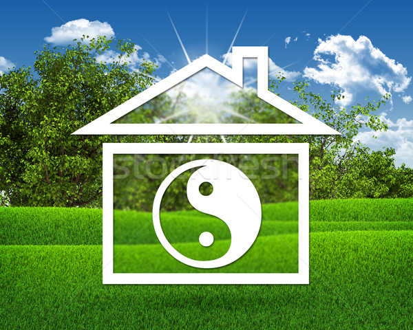 House icon with symbol of yin-yang Stock photo © cherezoff