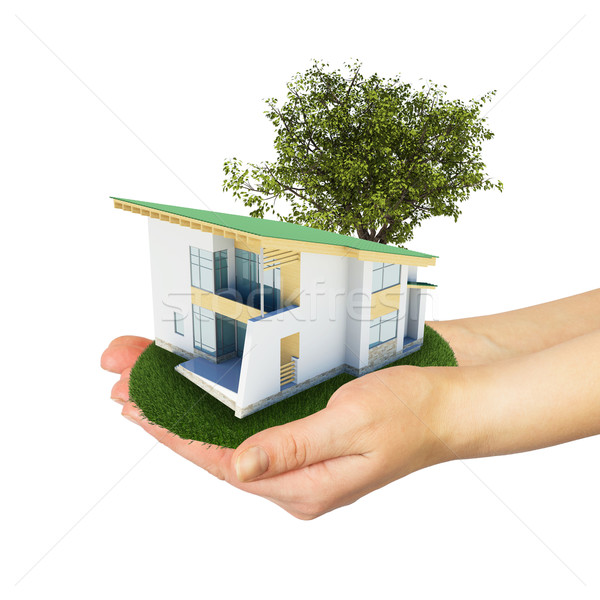 Hands holding a small house with land Stock photo © cherezoff