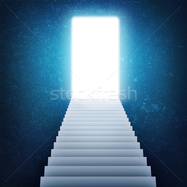 Stairs and magic doors Stock photo © cherezoff
