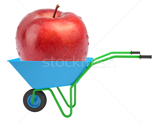 Apple in hand-barrow Stock photo © cherezoff