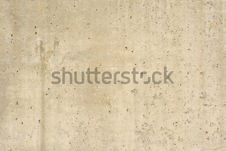 Concrete floor texture Stock photo © cherezoff