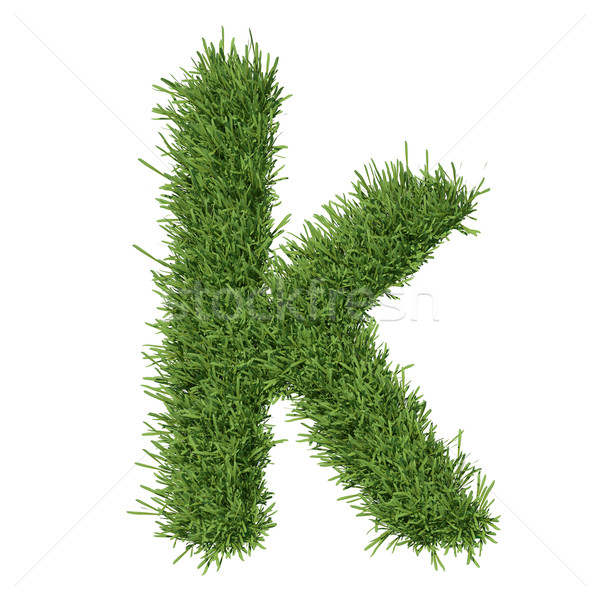 Brief alfabet gras geïsoleerd geven witte Stockfoto © cherezoff
