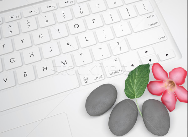 Flower, leaf and stone for massage on the keyboard Stock photo © cherezoff