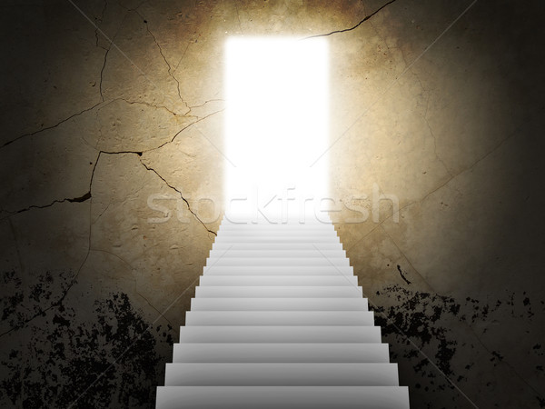 Stairs and magic doors Stock photo © cherezoff