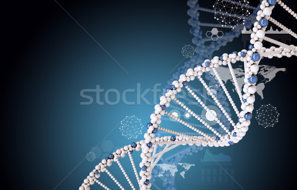 DNA on blue background Stock photo © cherezoff