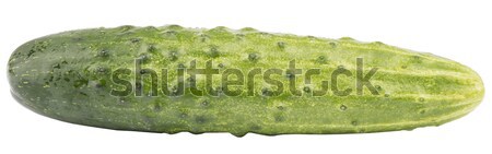 Fresh cucumber on white Stock photo © cherezoff