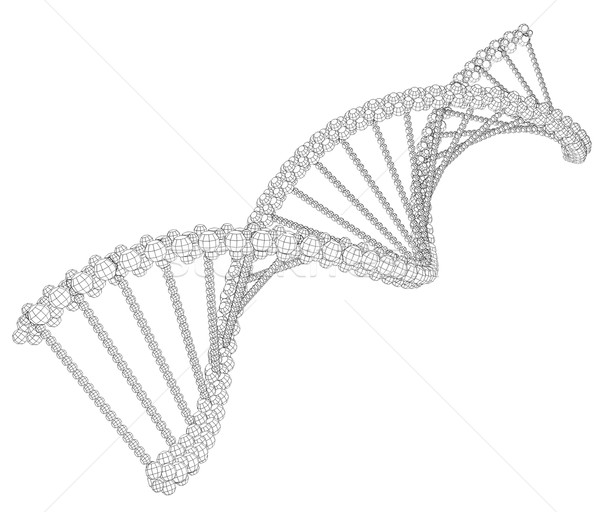 Illustration of wire-frame DNA chain Stock photo © cherezoff