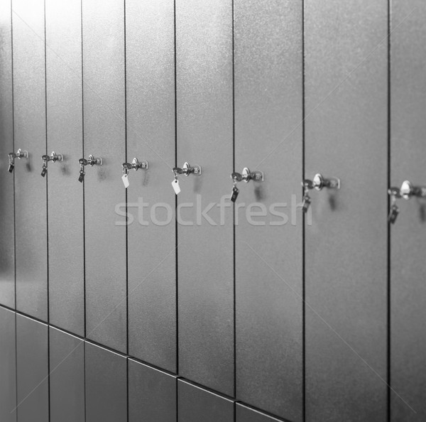 Set Metall Schlüssel Ansicht Stock foto © cherezoff