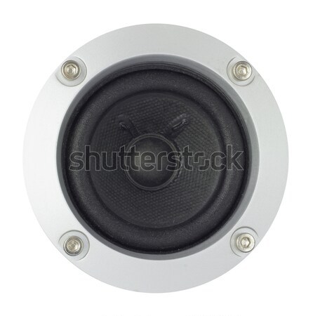 Speaker in a metal frame with bolts Stock photo © cherezoff