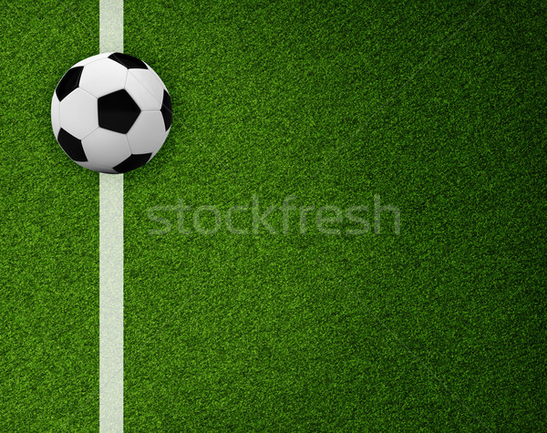 Empty football field with markup Stock photo © cherezoff