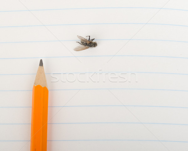 Copybook with pencil Stock photo © cherezoff