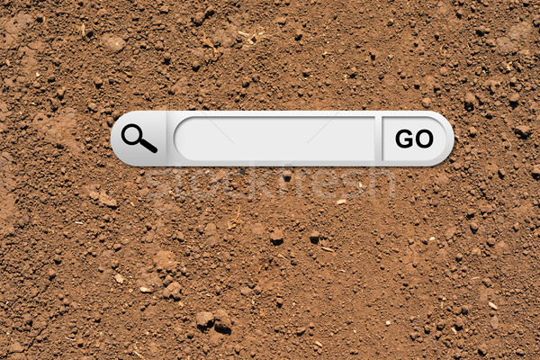Pesquisar bar navegador cultivado marrom solo Foto stock © cherezoff