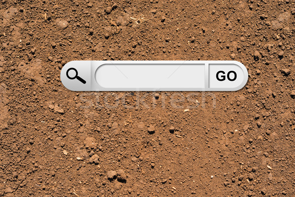 Search bar in browser Stock photo © cherezoff