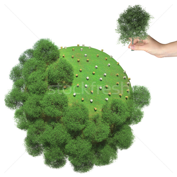 мало зеленый планеты человеческая рука Cut дерево Сток-фото © cherezoff