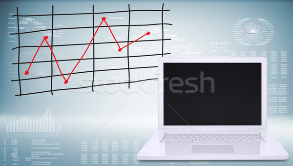 Laptop with graph of price changes Stock photo © cherezoff