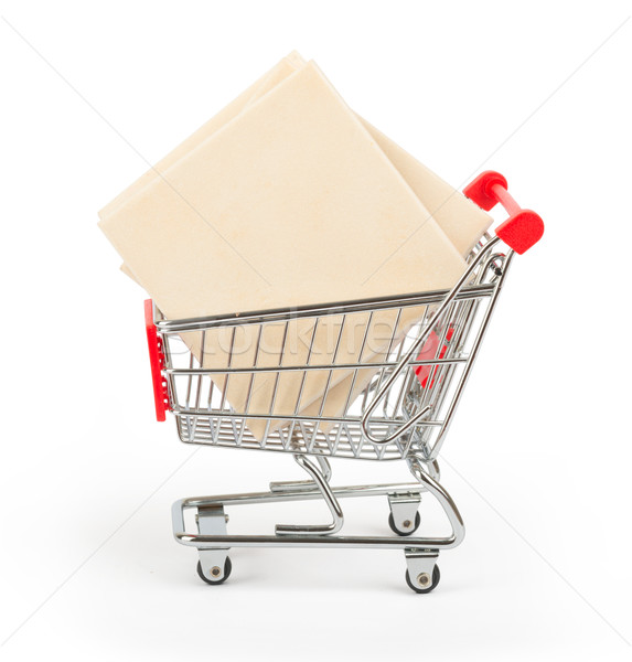 Paving tiles in shopping cart Stock photo © cherezoff
