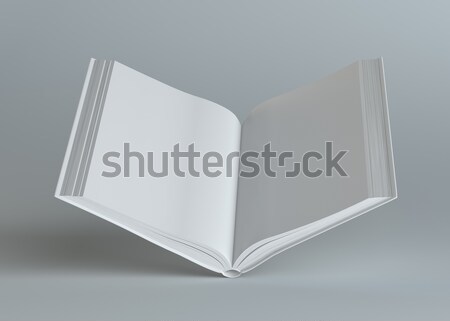 Blanco vacío libro abierto gris plantilla contenido Foto stock © cherezoff