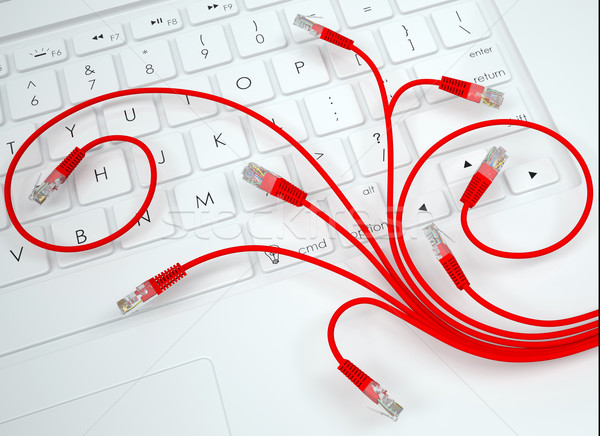 Flower of internet cable on the keyboard Stock photo © cherezoff