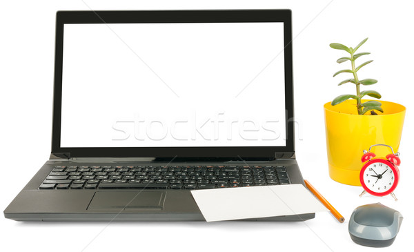 Dizüstü bilgisayar boş kart çalar saat yalıtılmış beyaz bilgisayar Stok fotoğraf © cherezoff