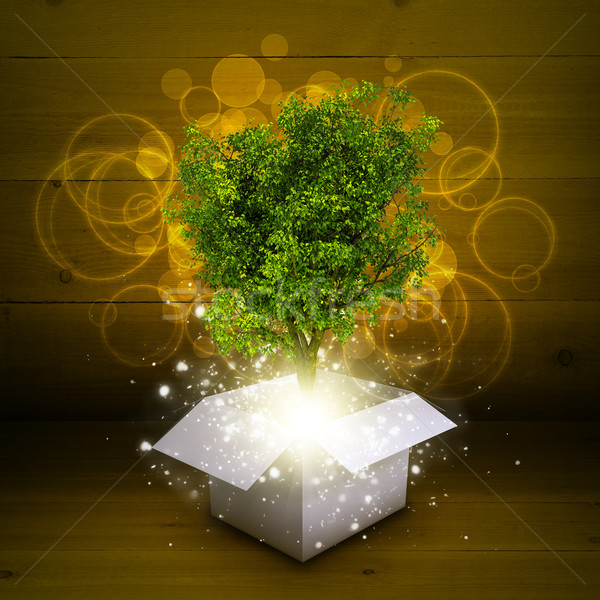 White cardboard box with magical green tree Stock photo © cherezoff
