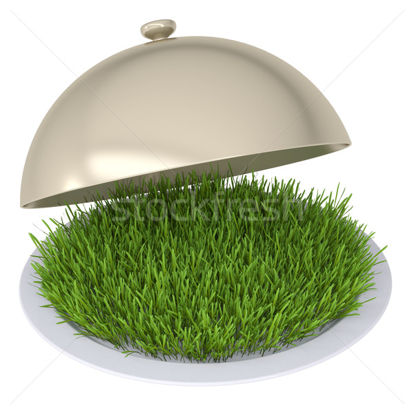 Green grass on a plate with a lid Stock photo © cherezoff