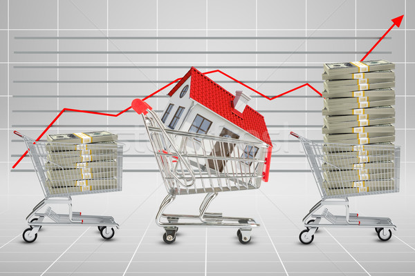 House and cash in shopping cart Stock photo © cherezoff