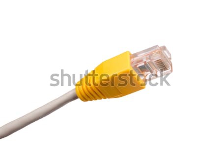 Computer cable on white Stock photo © cherezoff