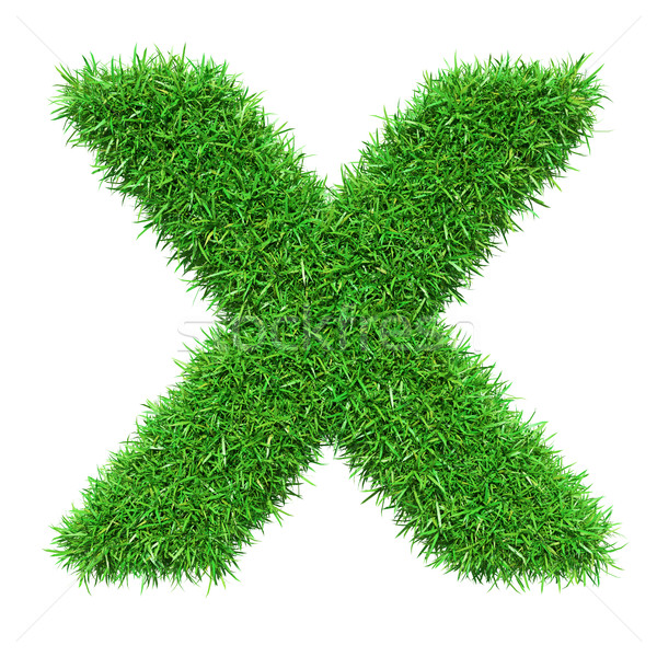 Green Grass Letter X Stock photo © cherezoff