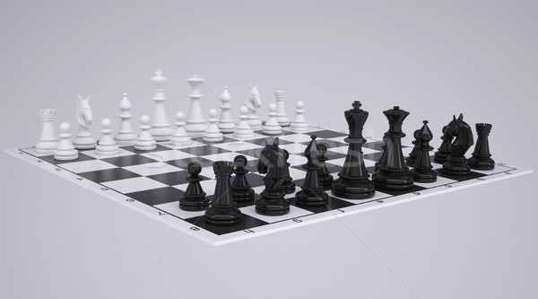 Chess on the chessboard Stock photo © cherezoff