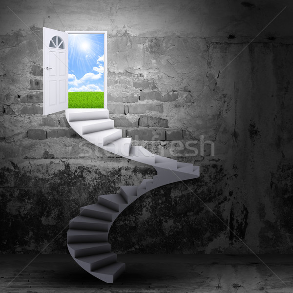 Spiral stairs and magic doors Stock photo © cherezoff