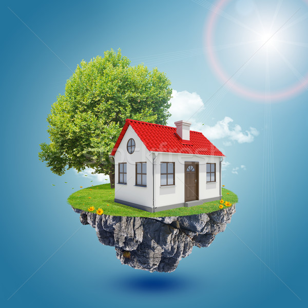 House on island with tree Stock photo © cherezoff