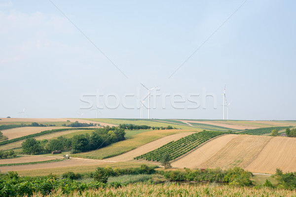 Mezők dombok szél elektromos erőmű tájkép kilátás Stock fotó © cherezoff