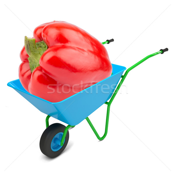 Sweet pepper in hand-barrow Stock photo © cherezoff