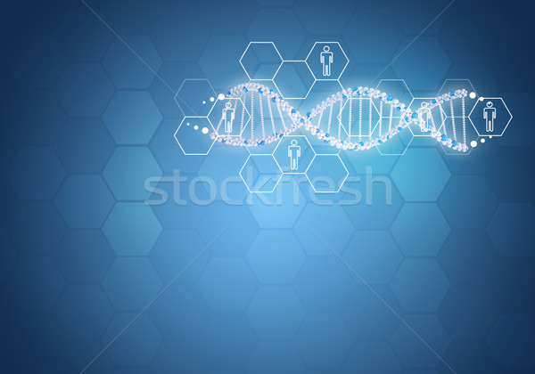Stock photo: Unites all human gene DNA. Background with hexagon and information board