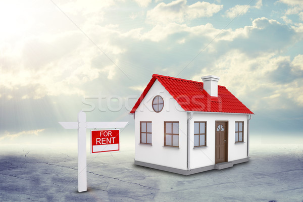White house with red roof and chimney. Near there is signboard for rent. Background sun shines brigh Stock photo © cherezoff