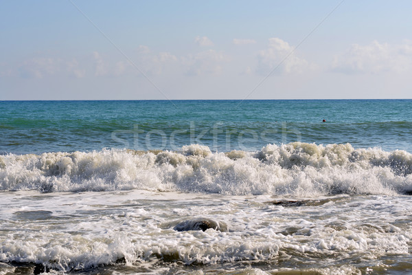 Stock photo: Sea wave rolled ashore