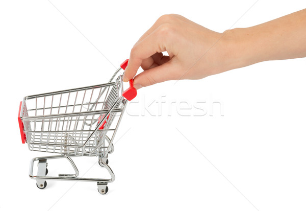 Humans hand holding shopping cart Stock photo © cherezoff