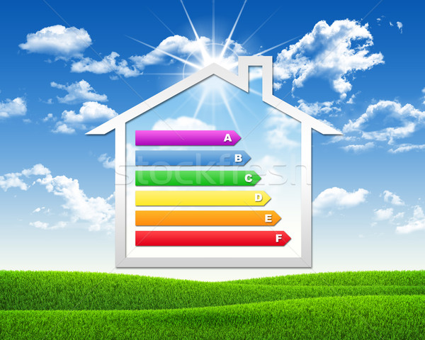 House icon with grid energy efficiency Stock photo © cherezoff