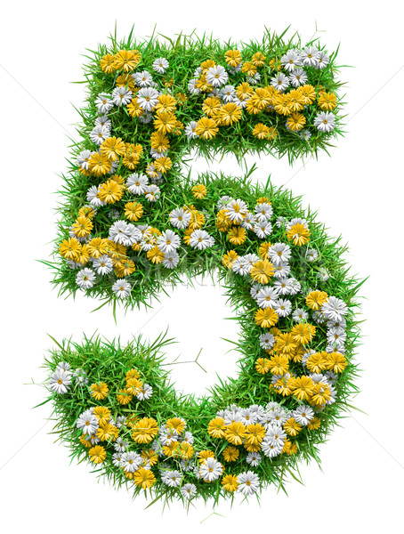 Number 5 of Green Grass And Flowers Stock photo © cherezoff