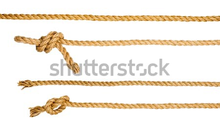 Rope loop and knots isolated on white background Stock photo © cherezoff