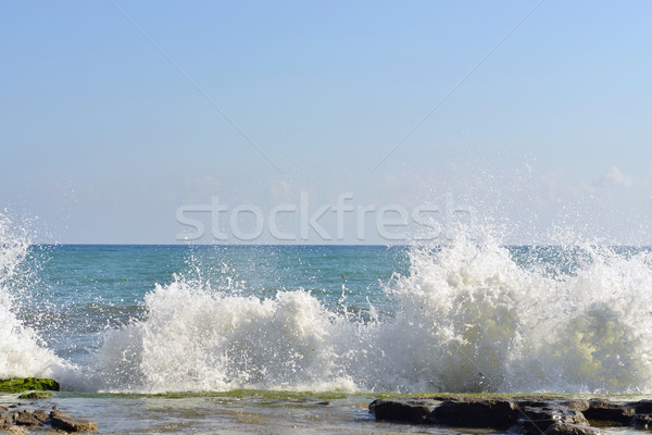 The waves breaking on a stony beach Stock photo © cherezoff