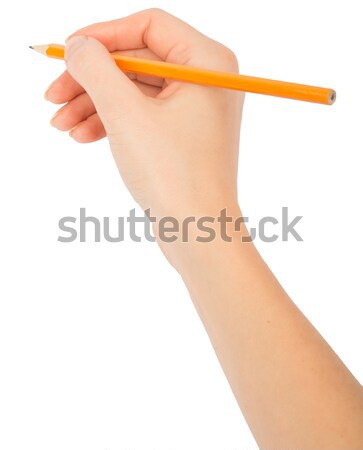 Humans hand holding yellow pencil Stock photo © cherezoff